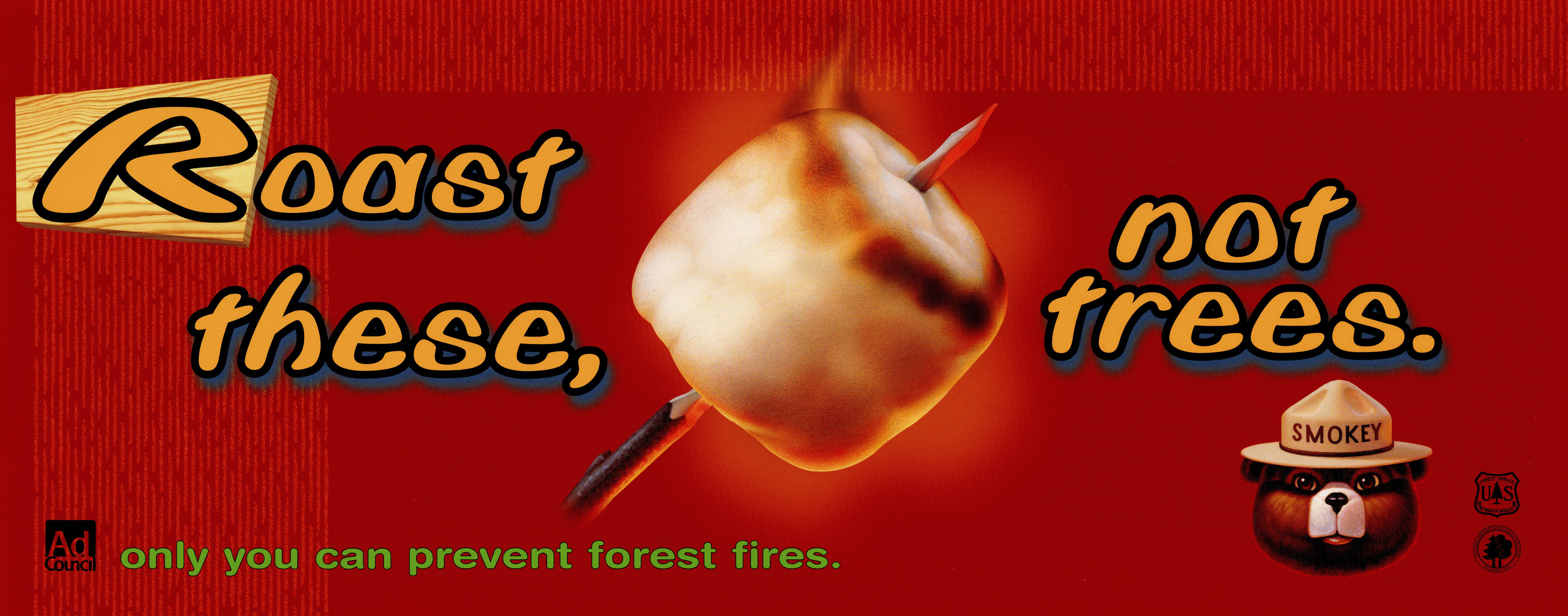 US forest service (Smokey Bear)